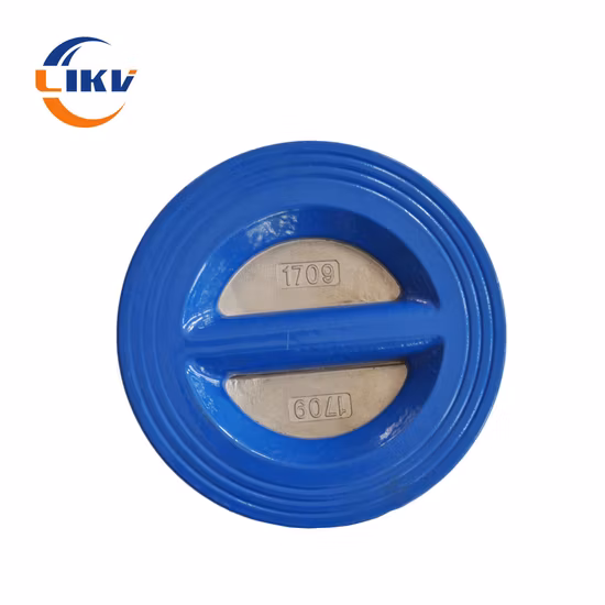 Zoll-Rückschlagventil aus duktilem Gusseisen mit Gummisitz und Doppelplatte aus Wafer-Pornd-Edelstahl