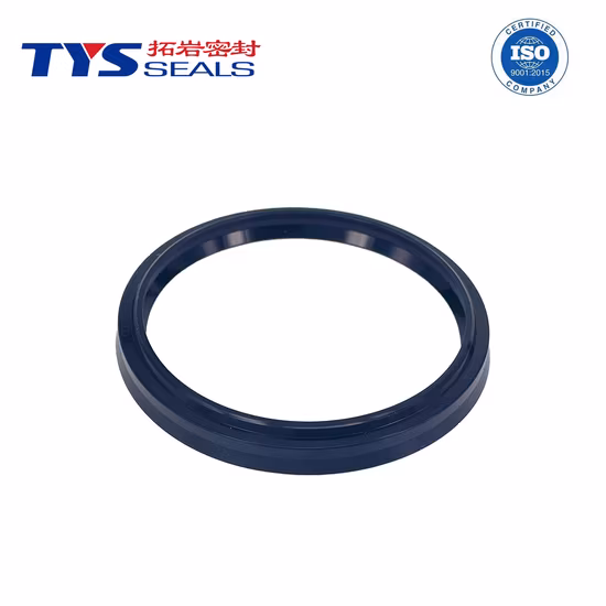 Hochleistungs-Lbh-Dichtring für hydraulischen Staubabstreifer