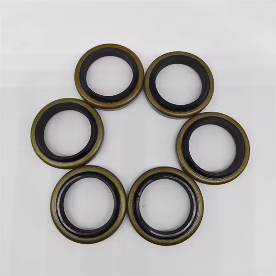 Hydraulische und pneumatische Staubabstreifer-Dichtung Dkb Dkbi Dli Ga Dh Dhs Lbh J A1 PU-Gummi NBR FKM Metall-Hydraulikzylinder-Abstreifer-Dichtung